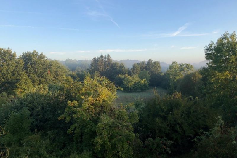 Natur in Schleswig-Holstein